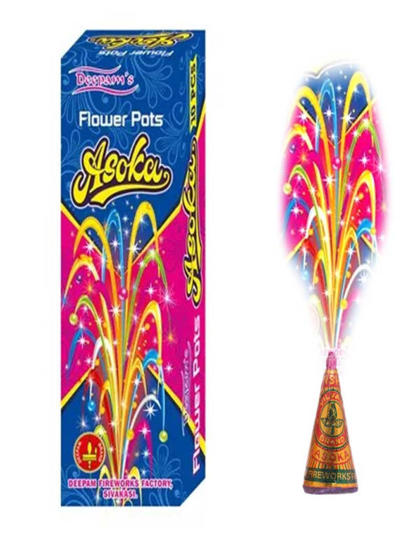 Flower Pot Ashoka | 1 Box